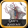 Gray Anatomy (+1000 Illustrations) for iPad