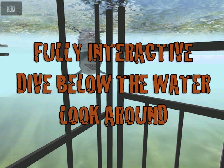 Shark Cage Dive HD 3D