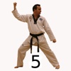 Taekwondo Pattern 5