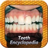 Teeth Encyclopedia st