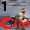 Clix! 1