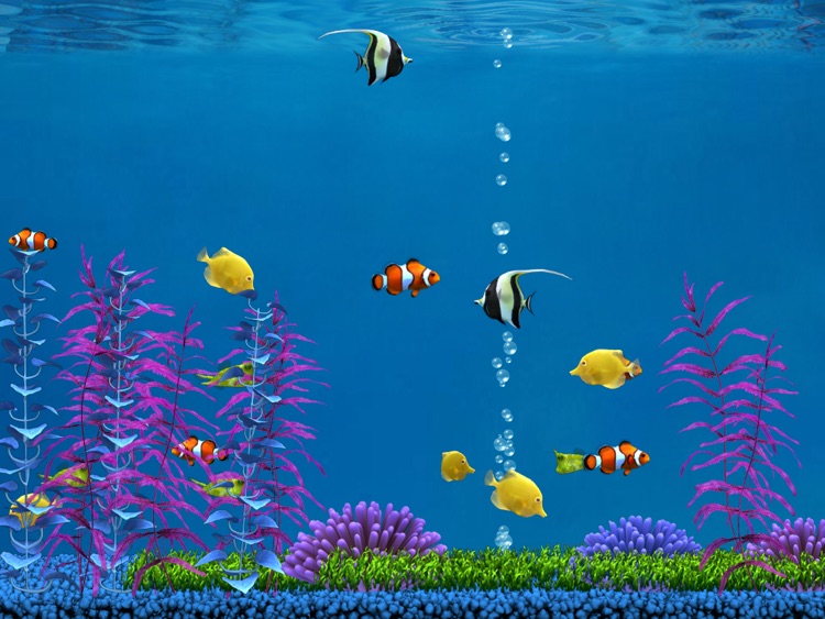 Colorful Aquarium for iPad Lite