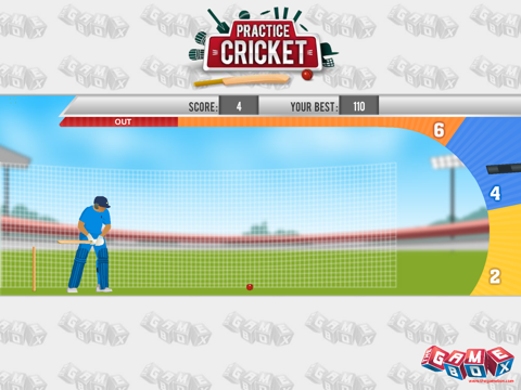 Practice Cricket screenshot 4