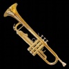 Pocket Trumpet ♪♫