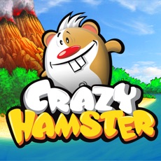Activities of Crazy Hamster Free