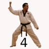 Taekwondo Pattern 4