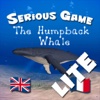 Humpback Whale Lite