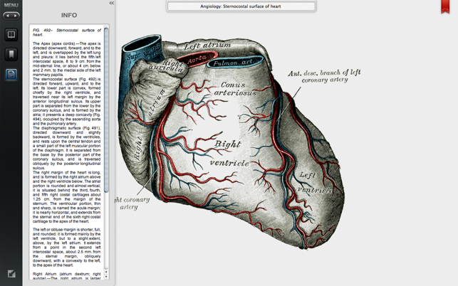 Grays Anatomy Student Edition(圖2)-速報App