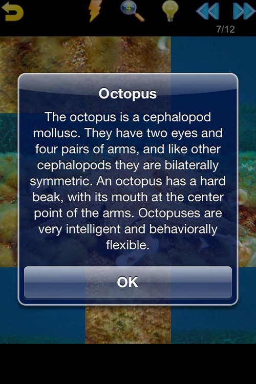 Ocean Puzzle (Worldwide) screenshot-4