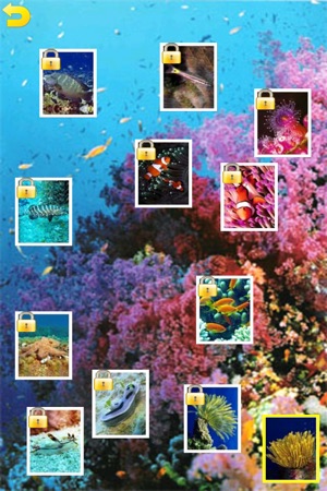 Ocean Puzzle (Worldwide)