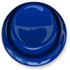 The Funky Blue Button