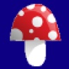 MushroomsGuide