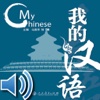 My Chinese (3)