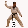 Taekwondo Pattern 3