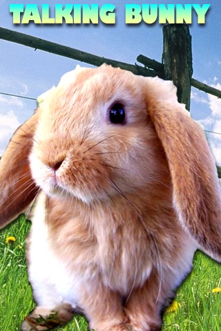 Talking Bunny for iPhone