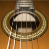 iTuneGuitars