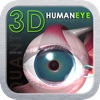3D Human Eye