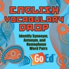 English Vocabulary Drop: Identify Synonym, Antonym, and Homophone Word Pairs