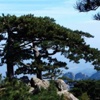 Mount Taishan - China - UNESCO World Heritage