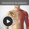 Anatomía en animaciones