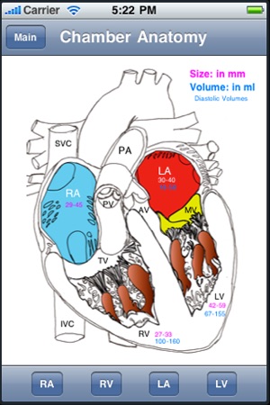 Heart Illustrated(圖3)-速報App