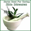 Herbs Used For Curing Skin Diseases