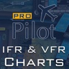 PRO Pilot IFR & VFR Terms and Symbols
