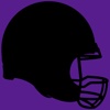 Baltimore Ravens 2010 News - Ravens Insider