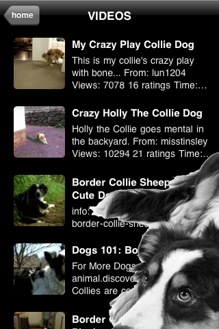 Collies - Border Collies and More screenshot 2