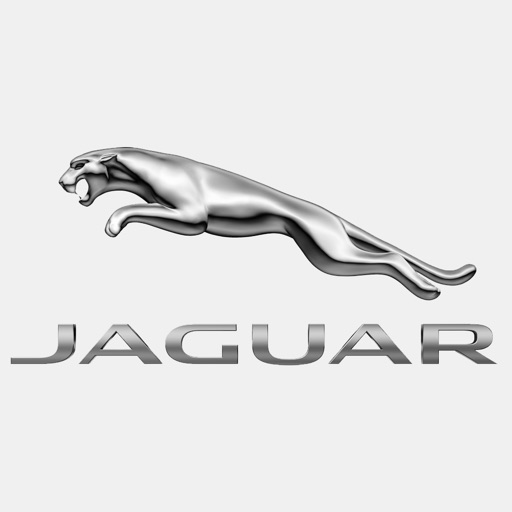 Jaguar Assistance