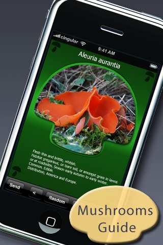 Mushroom Picking Guide