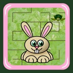 Bunny Maze Race rabbit vs turtle