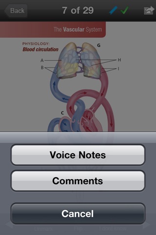 Anatomy & Physiology Plus Flash Cards screenshot 3