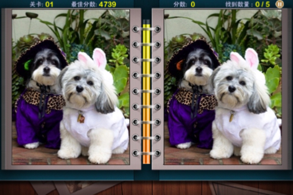 Happy Find Differences screenshot 3