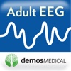 Adult EEG: An Interactive Reading Session