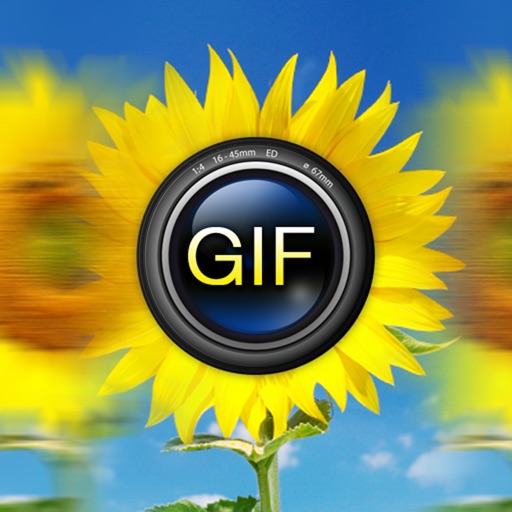 Animated GIF Album