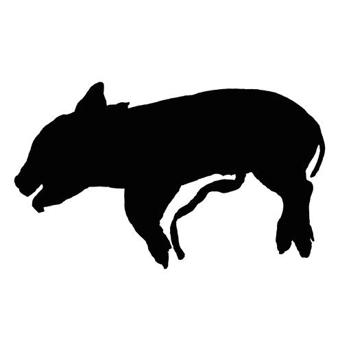 Dig a Pig iOS App