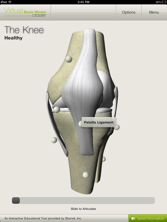 Biomet Virtual Bone Model