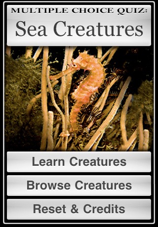 Sea Creatures! screenshot 3