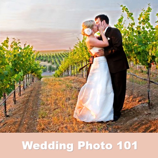 Wedding Photography 101:  A Guide to Taking Better Wedding Photos for iPad