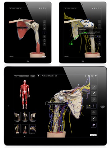 Shoulder Pro III for iPad screenshot 4