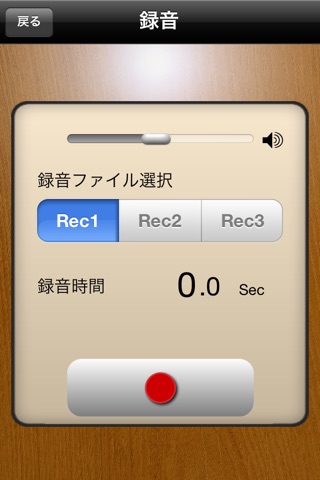 Voice timer camera screenshot 3