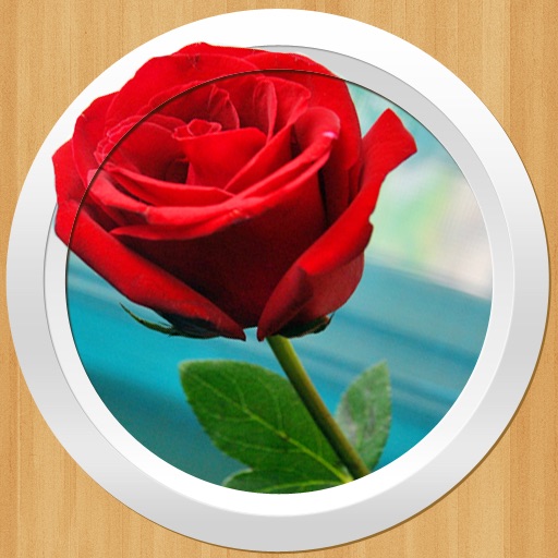 Beauty Link iOS App