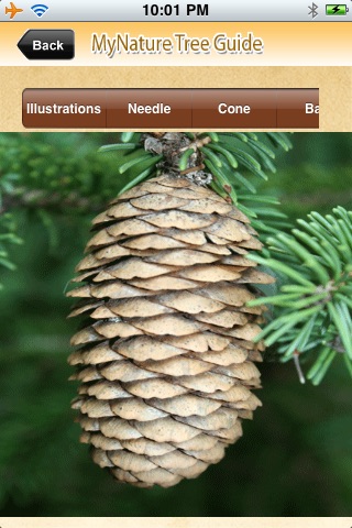 MyNature Tree Guide screenshot 3