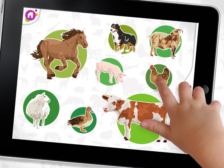 Kids Fun for iPad screenshot-4