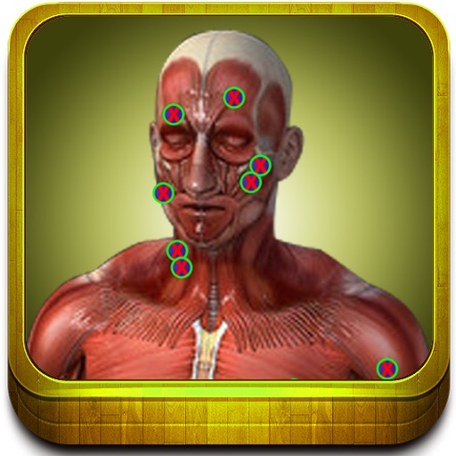 Muscle Trigger Points - Visually Interactive Icon