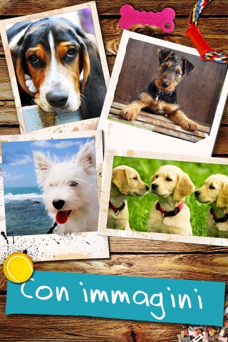 Dogs - Everything for Dog Lovers screenshot 2