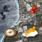 Bonaire the Offline Map with iCloud support 