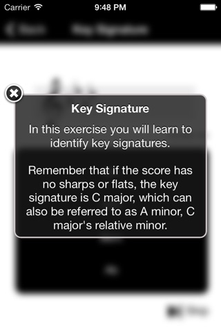 Beethoven Ear Trainer: Musical Notation screenshot 3