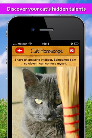 Cat horoscope booth: FREE astrology readings for your pet screenshot 4